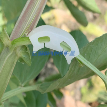 新的耐用植物支撑夹藤花园蔬菜番茄类型植物悬挂塑料夹